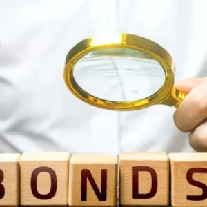 Government Bonds: The Backbone of Public Finance and Private Portfolios